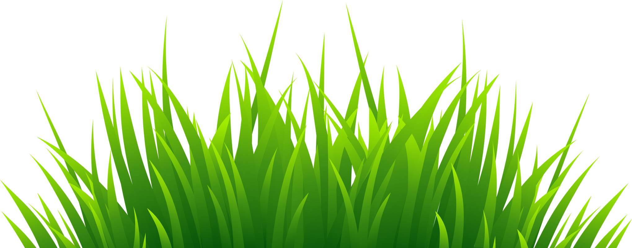 Green Grass