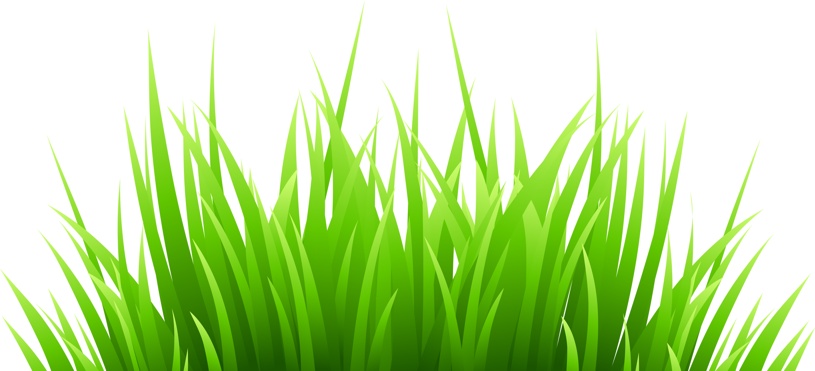 Green Grass